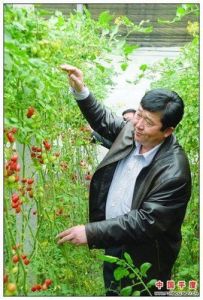 粗放農業 粗放農業