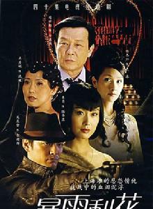 暴雨梨花[2006年王晶執導電視劇]