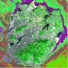 經MNDWI處理後顯示出環帶狀污染