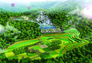 中游產業 中游產業