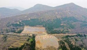 登封毀林事件 登封毀林事件