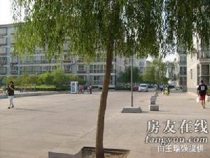 富強清馨園 富強清馨園