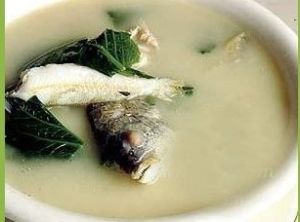 褐色營養高湯 褐色營養高湯