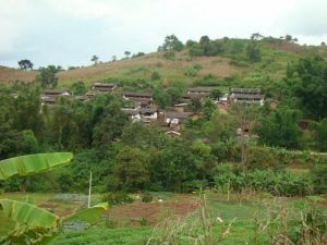 老街欄門樹自然村