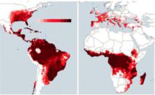 白紋伊蚊分布圖