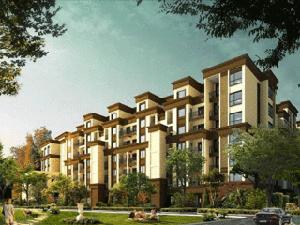 佛光鈞廷 佛光鈞廷