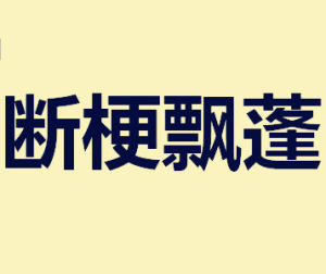 斷梗飄蓬 斷梗飄蓬