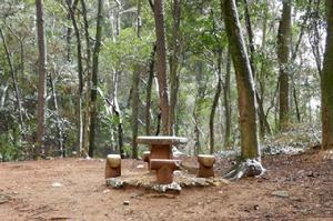 龍王山[湖北省黃岡市龍王山]