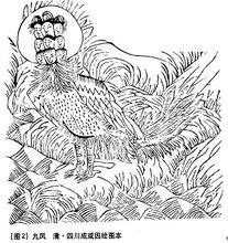 山海經.九鳳（九頭鳥）圖