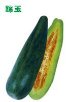 甜瓜——蘭家莊甜瓜產品