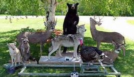 機器動物 機器動物