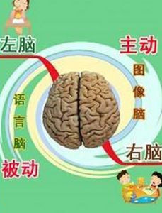 左腦 左腦