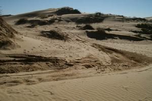 渾善達克沙地 渾善達克沙地