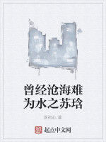 曾經滄海難為水之蘇琀