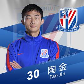陶金[足球運動員]