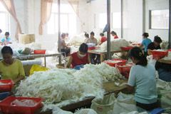 深圳市冠雅羽毛製品有限公司 深圳市冠雅羽毛製品有限公司