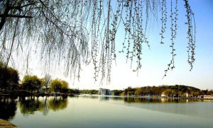 安慶市菱湖風景區 安慶市菱湖風景區