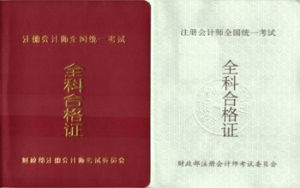 信息系統審計師