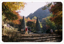 修理山森林浴場