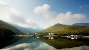 安徽金藤生態園 安徽金藤生態園