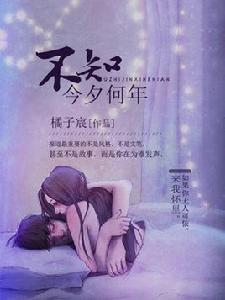 不知今夕何年 不知今夕何年