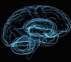 托德麻痹 托德麻痹