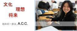 ACC國際交流學院