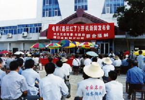 《荔枝紅了》在荔鄉高州開機