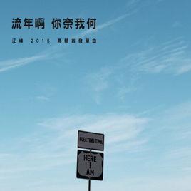 流年啊你奈我何 流年啊你奈我何