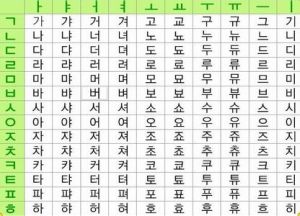 朝鮮語專業 朝鮮語專業