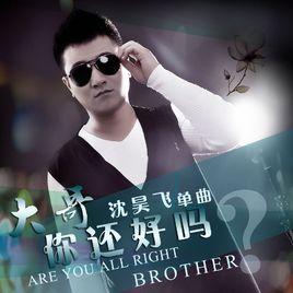 大哥你還好嗎 大哥你還好嗎