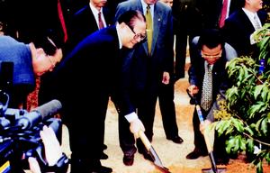 根子荔枝文化旅遊區