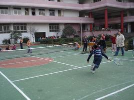 短式網球 短式網球