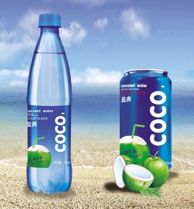 鹽典COCO 鹽典COCO