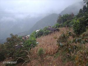 排把王基自然村-村莊全貌