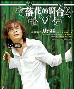 落花的窗台 落花的窗台