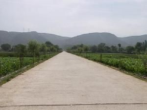 十里城村 十里城村