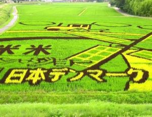 稻田作畫 稻田作畫