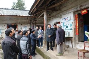 雙山村[雲南省普洱市景東彝族自治縣太忠鄉雙山村]
