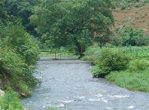 浪石清流 浪石清流