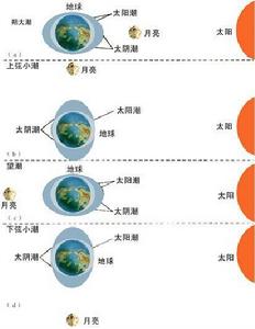 潮汐[自然現象]