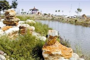 大港濕地公園 大港濕地公園