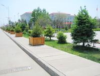 迎春林業局 迎春林業局