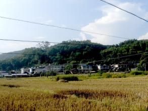 曼酒浩村 曼酒浩村