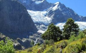 羅布羅伊冰河 羅布羅伊冰河