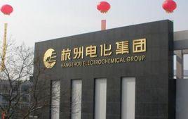 杭州電化集團有限公司 杭州電化集團有限公司