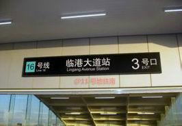 上海捷運臨港大道站 上海捷運臨港大道站