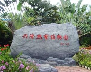 興隆熱帶植物園 興隆熱帶植物園