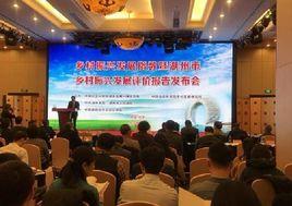 鄉村振興發展指數 鄉村振興發展指數