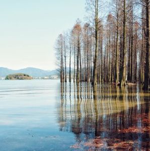 四明湖 四明湖
